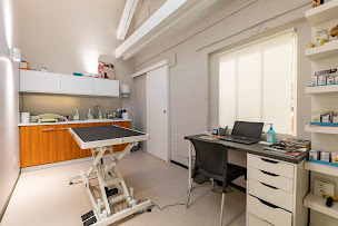 Photo n°16 de Clinique Vétérinaire Argos à Strasbourg (Vétérinaire)