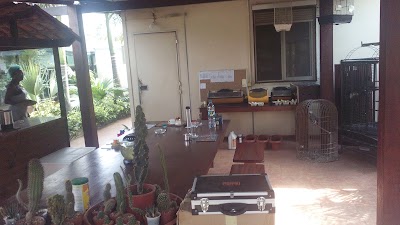 Photos of PETSHOP LUANDA SUL