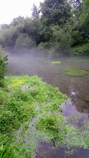 Marais de Marœuil - Thumbnail