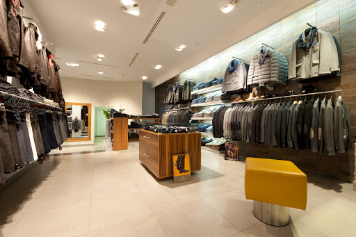 Bertini Group - Visual