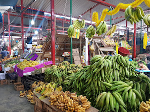 Mercado Mayorista Plaza Unicachi Sur 5