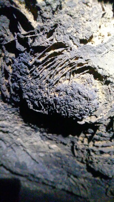 Photos of Organ Cave Inc.