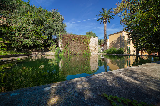 HORT DE CAS MISSÈR Gallery - Spain