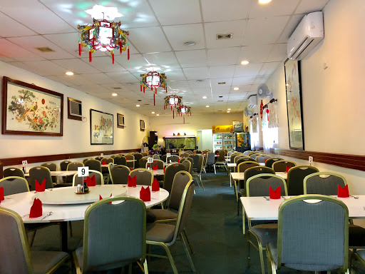 Jia Dumpling (Same management as Sunflowers Chinese Restaurant) - Thumbnail