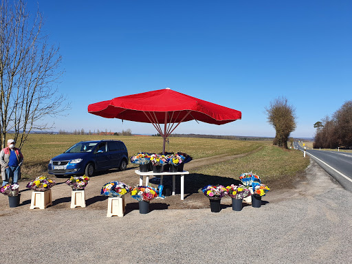 Blumen-Stand