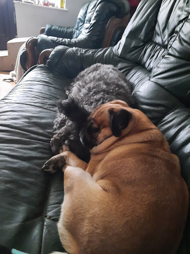 Reviews of Crawford & Crawford MEDIVET in Liverpool - Veterinarian
