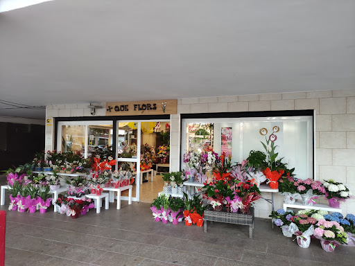 + Que Flors - Visual
