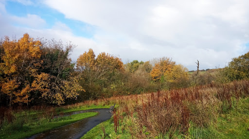 Dumbarton New Cemetery - Thumbnail
