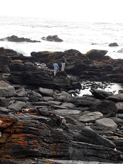 Photos of Playa Loncoyen