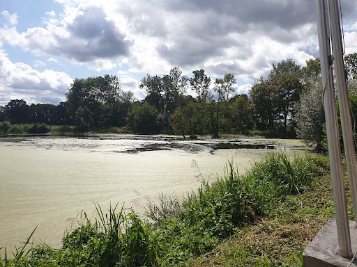 Café am Weiher - Thumbnail