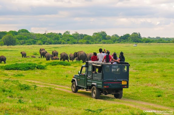 Minneriya National Park SAFARI, Author: Charith Gunarathna