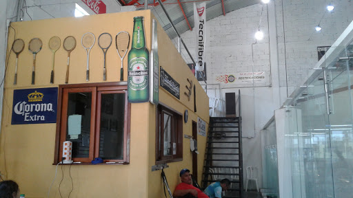 Viva Squash - Visual