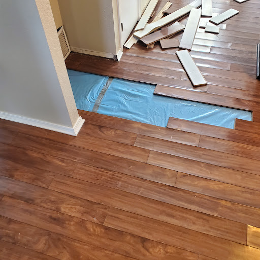 Avatar for TL3 QUALITY HOME SERVICES LLC