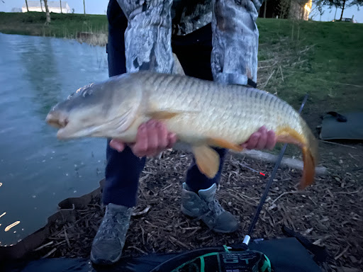 Short Ferry Angling - Thumbnail