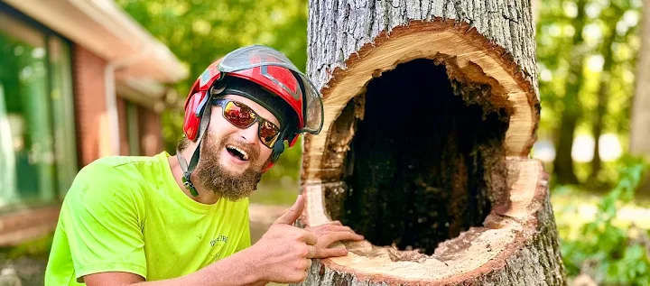 OnSite Tree Services