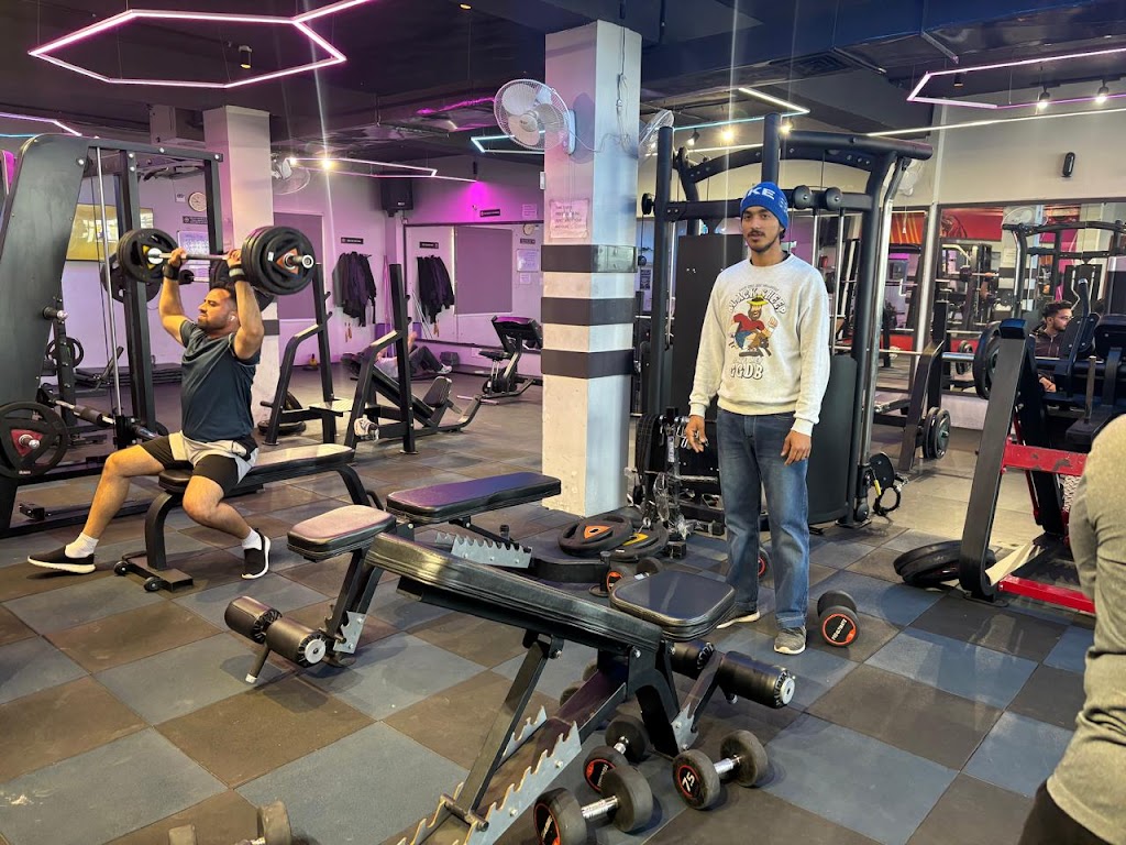 Pro Ultimate Gym Solution