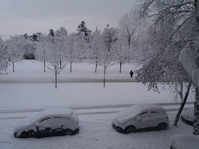 Photos of Park Gjorche Petrov