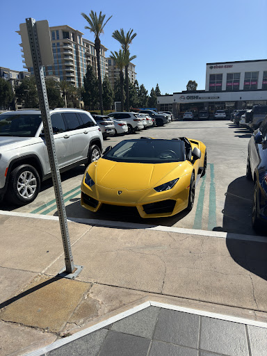 First Class Exotics - Visual