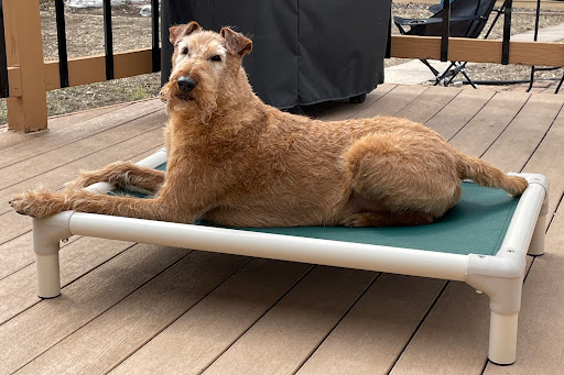 Lake Harriet Veterinary - Thumbnail