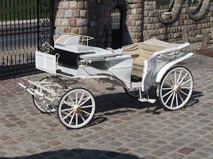 Photo n°15 de ECURIES DU VIEUX CHATEAU à Lumigny-Nesles-Ormeaux (Centre de randonnée équestre)