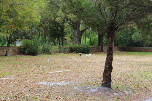 Showmans Rest Cemetery - Thumbnail