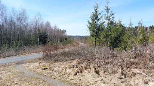 Prestegårdsskogen