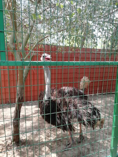 Animal park