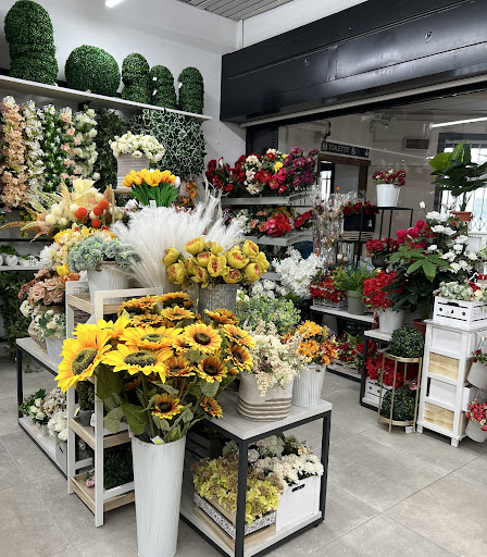 SUN SHOPPING - Visual