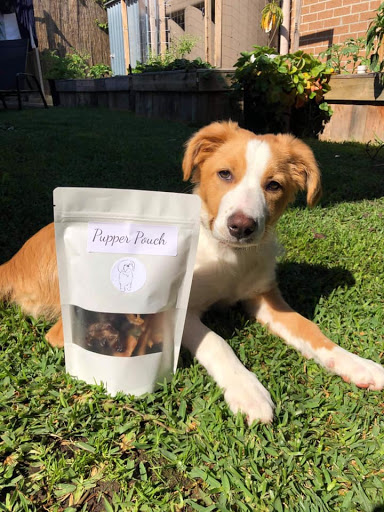 Pupper Pouch - Visual