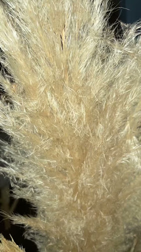 Opinii despre Douceur & Délicatesse - Massages à domicile et Institut în Sète - Massothérapeute