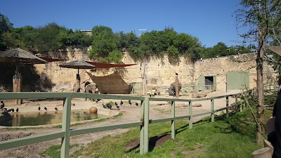 Photos of San Antonio Zoo