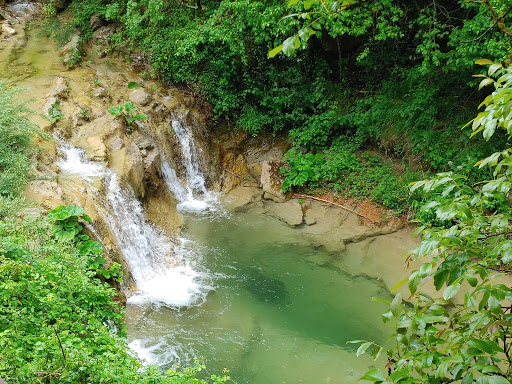 Percorso Natura Premilcuore - Thumbnail