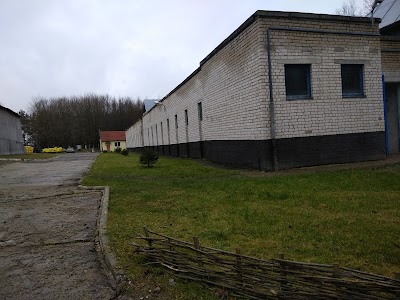 Photos of Veterinarnaya Klinika