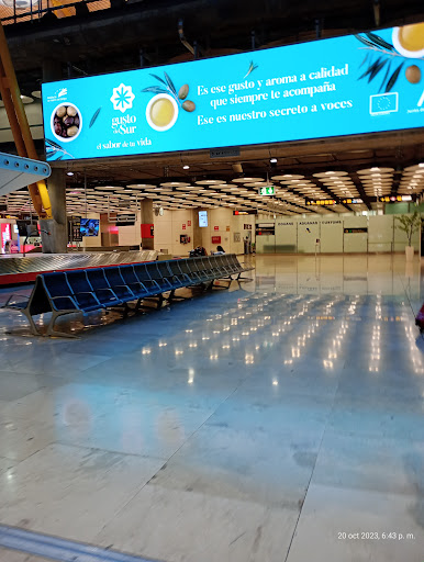 Fast Track T4 - Aeropuerto de Adolfo Suárez Madrid-Barajas (MAD) - Thumbnail