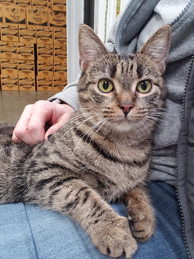 Wayne County Humane Society