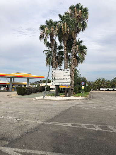 Shell San Lucas