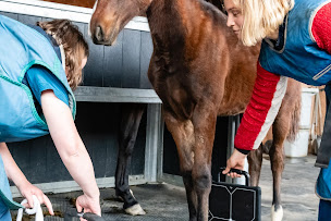 Photo n°5 de Cabinet vétérinaire de Claveyson - Sevetys à Claveyson (Vétérinaire)