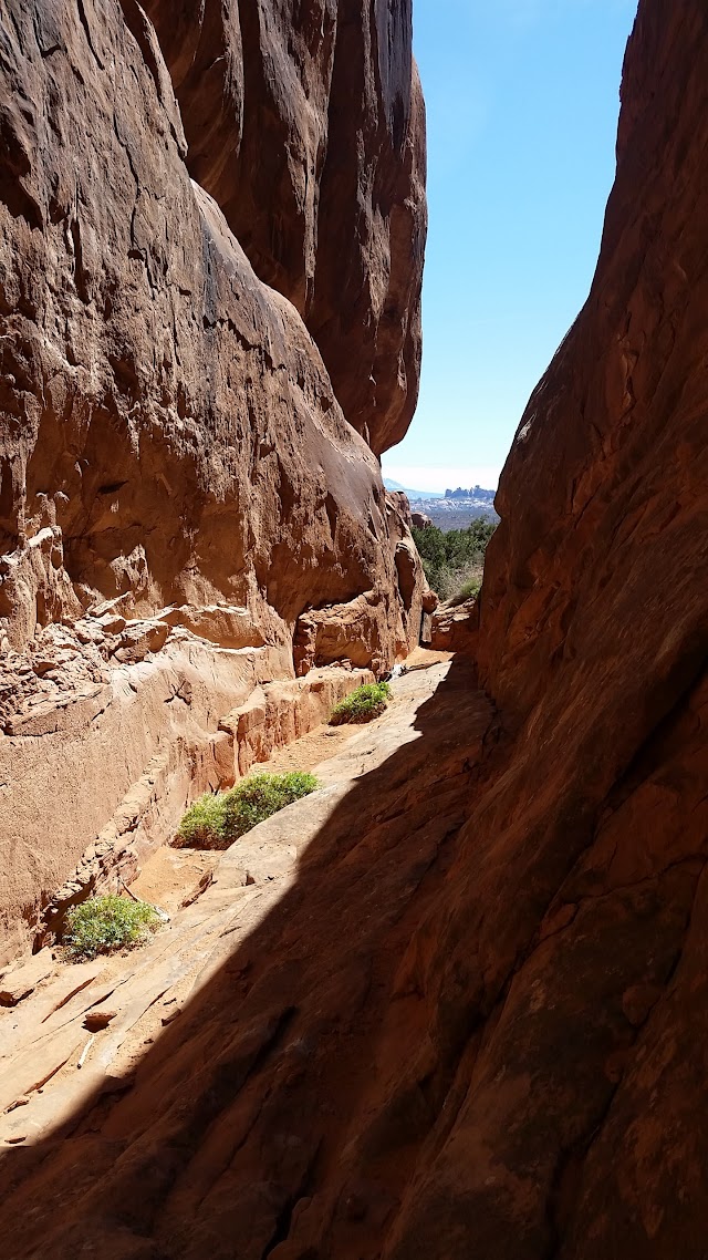 Fiery Furnace
