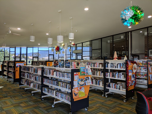Bridgewater Library - Visual