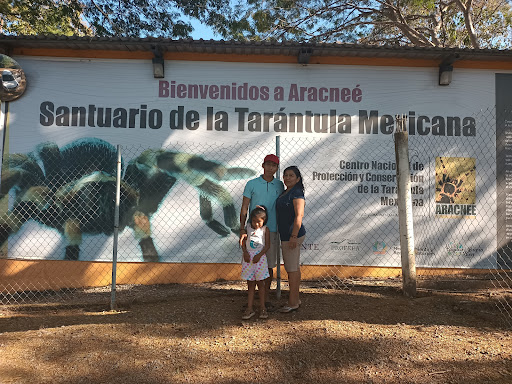 Aracneé - Visual