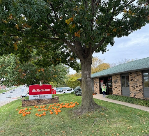Philip Snodgrass - State Farm Insurance Agent - Thumbnail