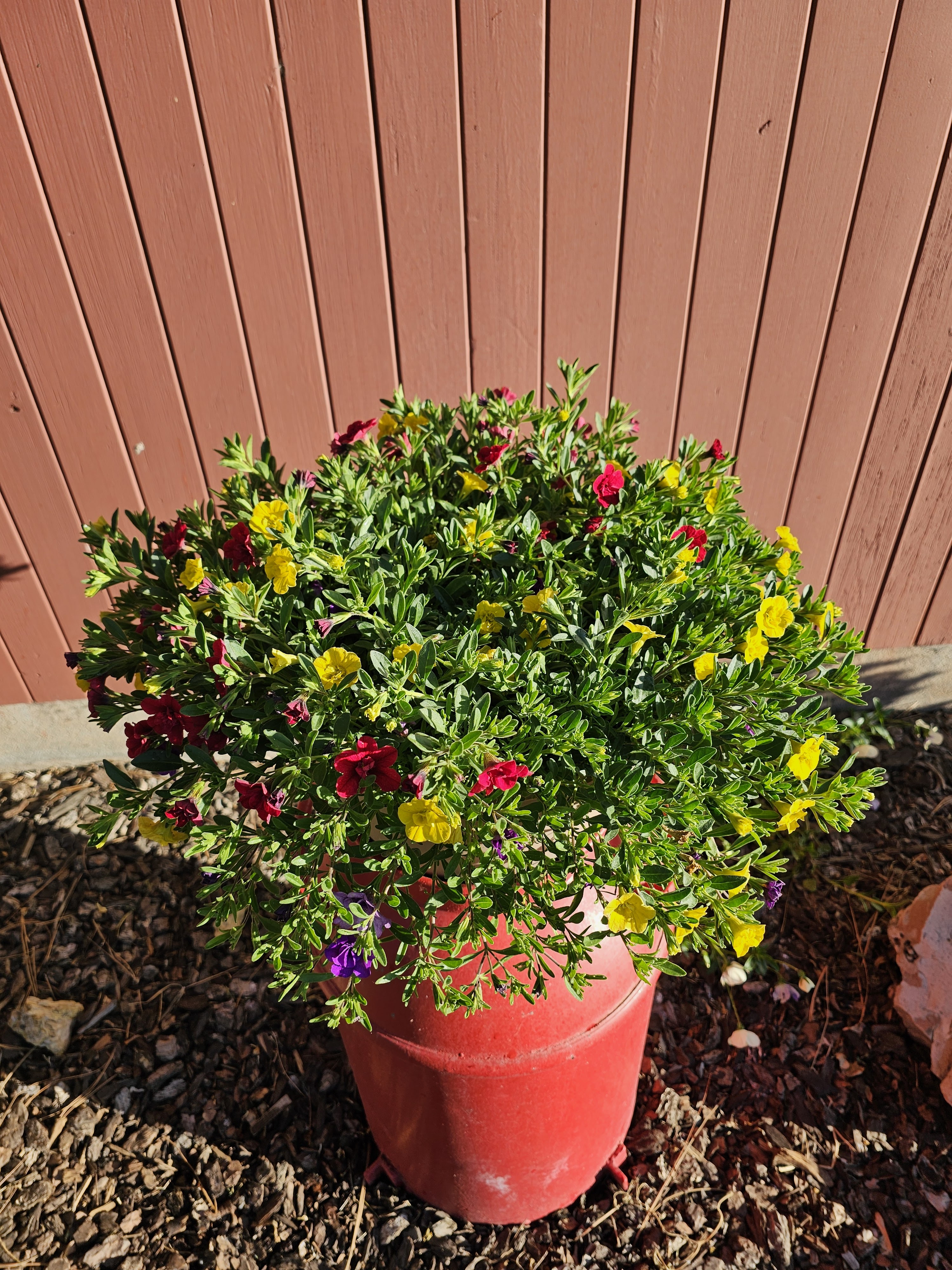 M&J Martinez Garden