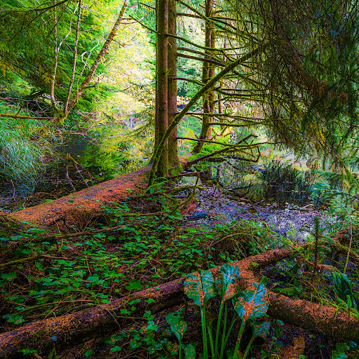Spring Lake Open Space - Visual
