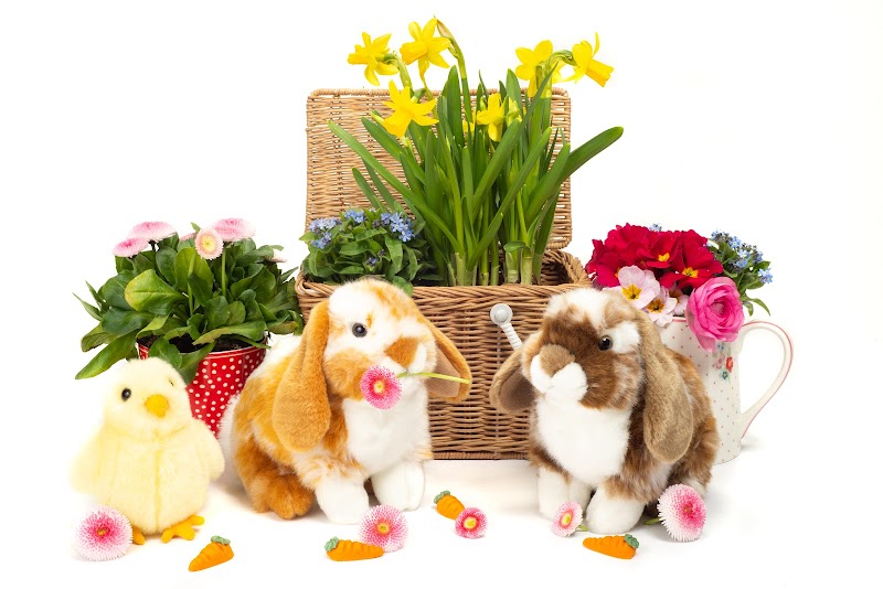 株式会社ストリーム