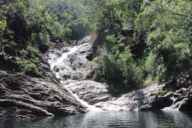 Eungella National Park