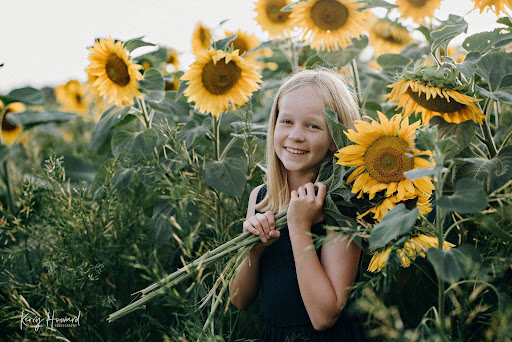 Franklin Farm - Sunflower Fields - Auckland