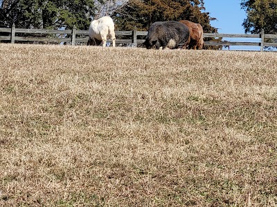 Chippokes Farm and Forestry Museum