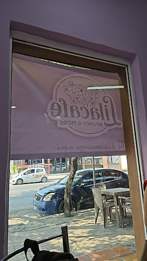 Lilacafe - Visual