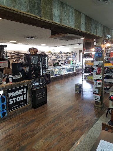 Page Electronics - Visual