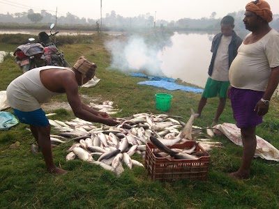 Photos of Nareshwor Fish N Agro Pvt. Ltd.